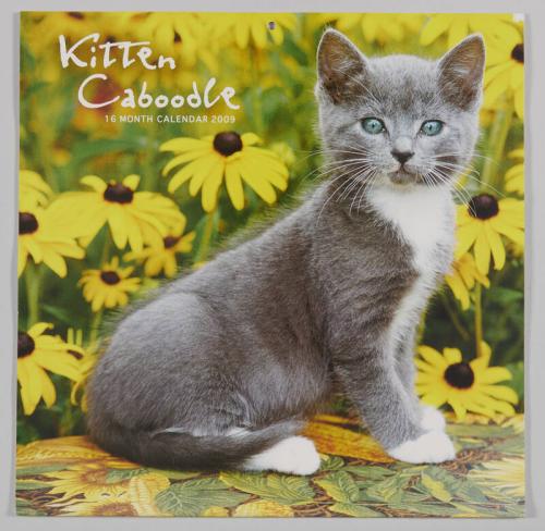 Kitten Caboodle 2009 Calendar