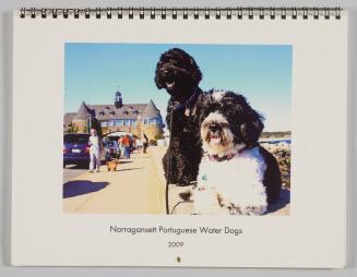 Narragansett Portuguese Water Dog Calendar 2009