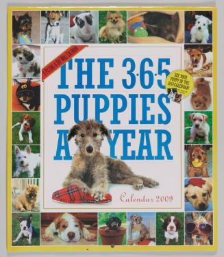 The 365 Puppies a Year 2009 Calendar