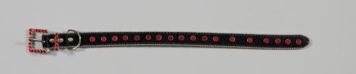 Pet Collar with Rhinestones