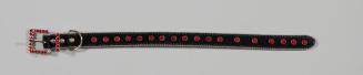 Pet Collar with Rhinestones