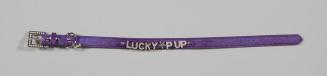 Lucky Pup Dog Collar