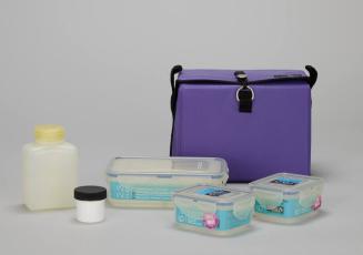 Purple Lunchbox Set