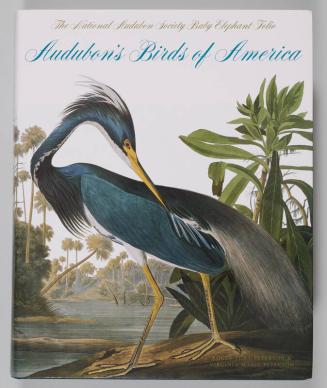 Audubon's Birds of America