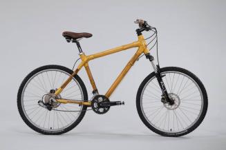 Bicycle with Bamboo Frame