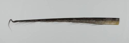 Bowhead Whale Baleen Scrimshaw Art