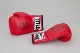 Title Boxing Gloves