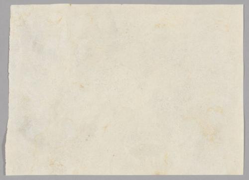 Wallpaper Samples