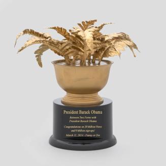 Between Two Ferns Award
